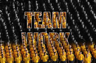 开云体育app在线下载-雄鹿队大胜76人，字母哥砍下三双